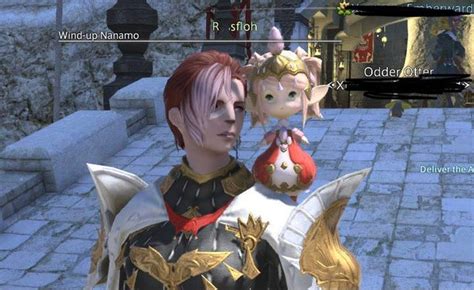 ff14 minion sit on shoulder.